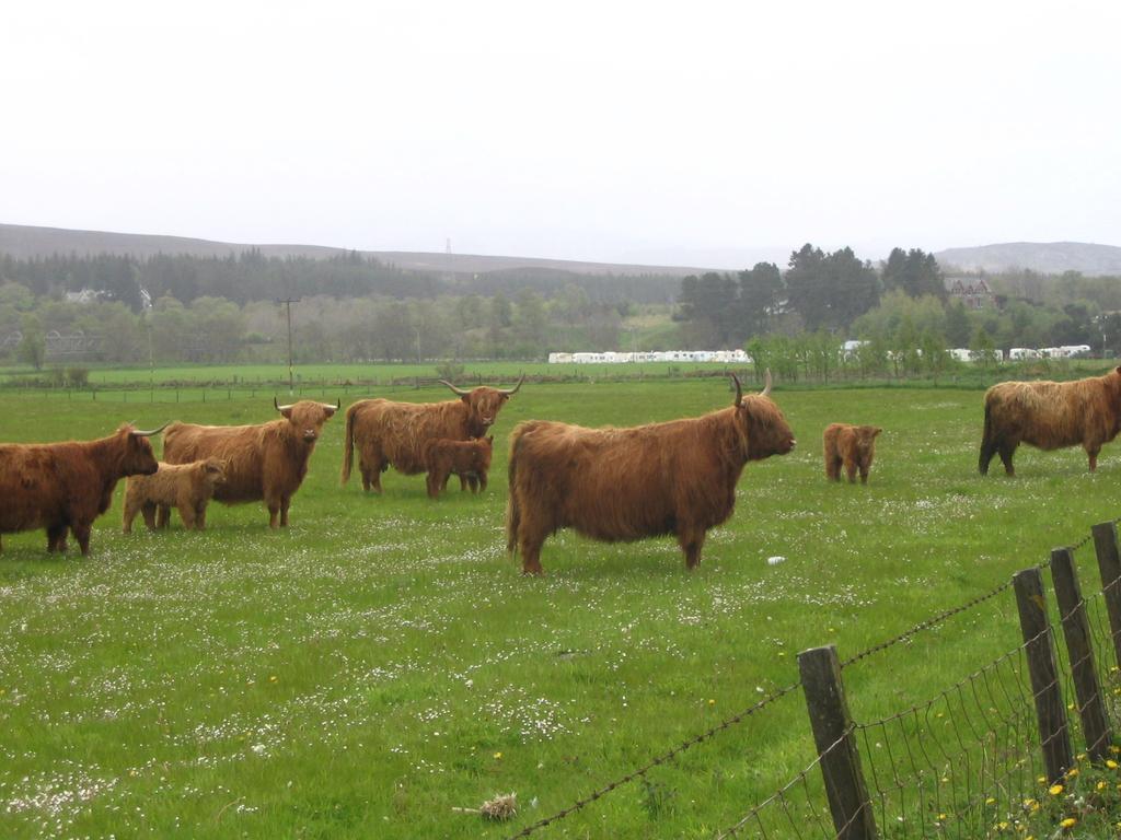 Highlander Hotel 'A Bespoke Hotel' Newtonmore Exteriér fotografie